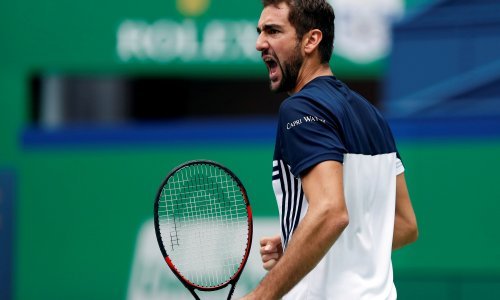 Marin Čilić ovaj je trenutak jako dugo čekao; sada je to i službeno