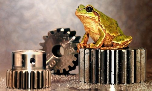 Možete li vjerovati da ovo nisu fotografije?