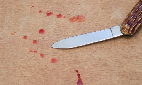 Podignuta optužnica protiv 28-godišnjakinje za ubojstvo sestrične