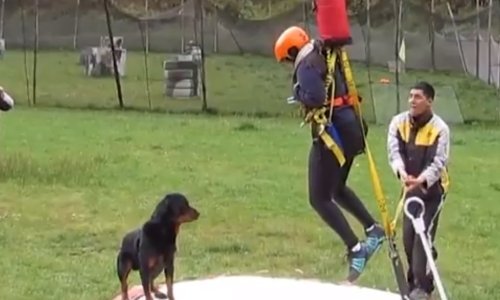 Ako volite bungee, ovo ćete obožavati