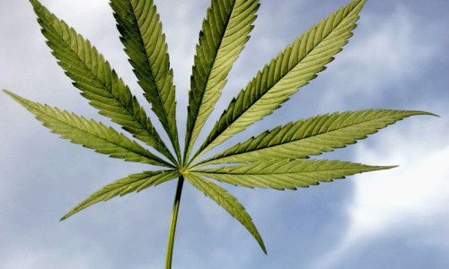 Izrael djelomično dekriminalizirao pušenje trave