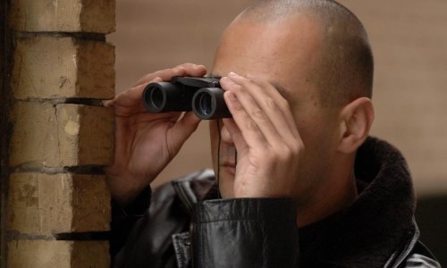 'Ni privatni detektivi ne mogu pronaći mog sina!'