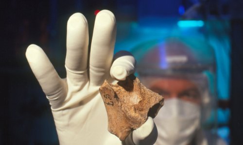 Svjetska antropološka elita u Zagrebu povodom obljetnica Instituta za antropologiju i Hrvatskog antropološkog društva