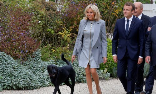 [VIDEO] Pogledajte kako Macronov pas prekida sastanak i sramoti svojeg vlasnika