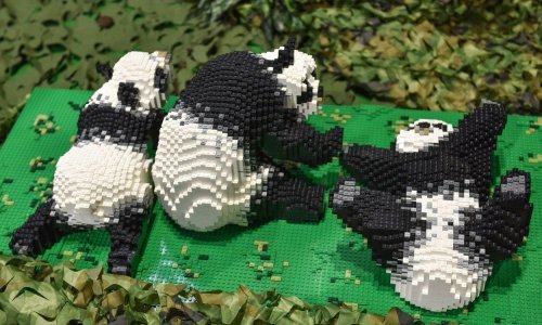 Zavirite u nevjerojatno carstvo Lego divljine