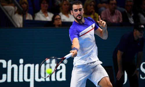 Marin Čilić dugo je lomio mađarskog tenisača