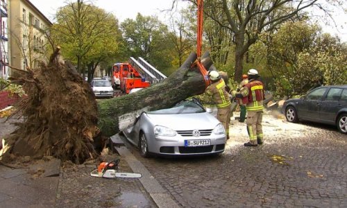 Oluja Herwart opustošila Berlin, proglašena elementarna nepogoda