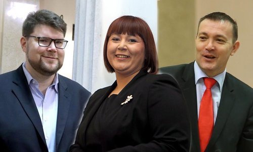 Novi SDP-ov statut radit će Grbin, Bauk i Ivana Posavec Krivec