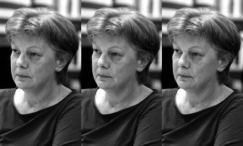 'Jasna je bila najvažnija istraživačka novinarka svog vremena, a živjela je za posao'