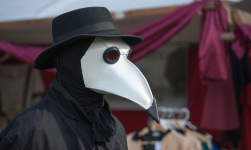 Grešni, ružni, okuženi: Nema spasonosne karantene od Madagaskara do Manhattana