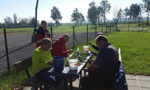 Tog sunčanog popodneva Bandić je prebirao po mahunama; što se od tada promijenilo?