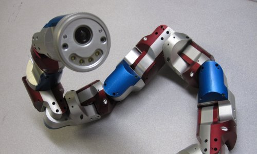 Bojite se zmija, pauka i robota? Ova kombinacija neće vam se svidjeti