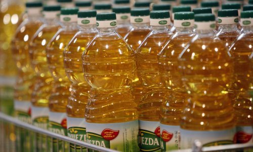 Ramljak i pravni zastupnik Euroherca traže glavnu skupštinu Zvijezde