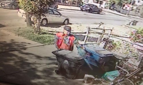 Dugo već nismo vidjeli bizarniju krađu