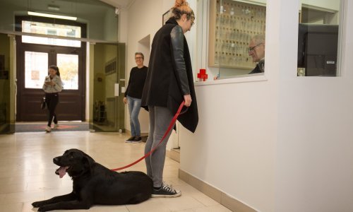 Na Osječkom fakultetu kujica Alenka 'dobila iksicu'