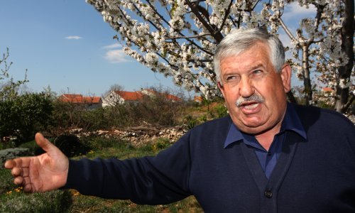 Miljanić: Presuda Mladiću za nas je žalost jer mu se nije sudilo za zločine u Škabrnji