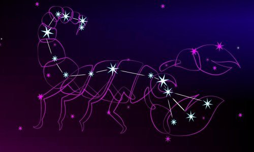 Škorpioni su oštroumni, pronicljivi i radišni, a ovo su najbolji poslovi za njih