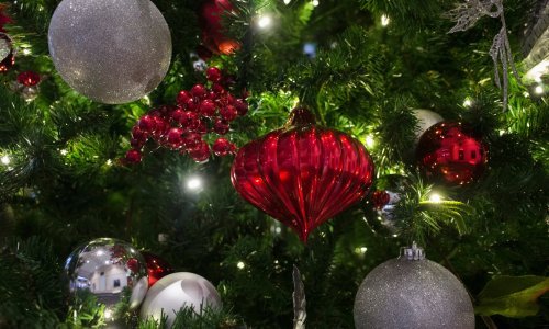 Pogledajte što će pod bor svojim radnicima staviti Plava laguna