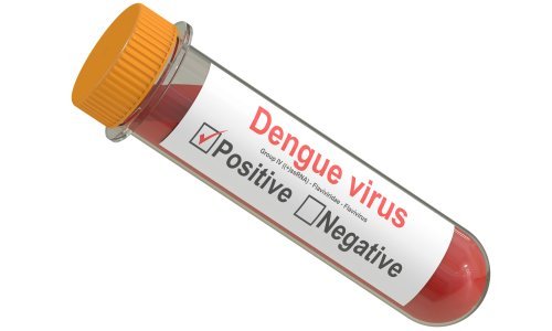 Denga groznica postala hrvatska bolest