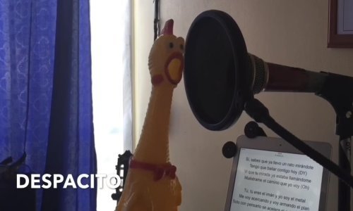 Ljeto je davno prošlo, a 'Despacito' je još hit! Ovo je najluđa verzija