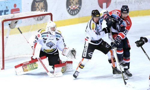 'Medvjedi' u Linzu uzeli bod, izgubili su tek nakon raspucavanja