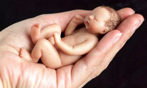 I Srbija ima problem s demografijom