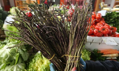 Znate li koliko gljiva, šparoga, kestenja i voća smijete ubrati u šumi?