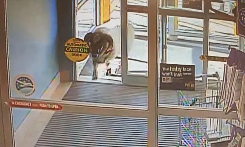 Ovan pokušao provaliti u trgovinu pićem