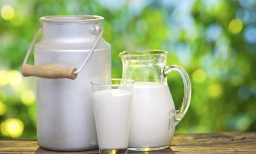 Kako je mlijeko postalo omražena namirnica?