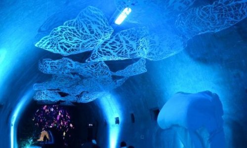 Zavirite u bajkovito okićen tunel Grič