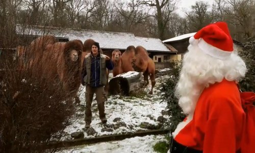 Pogledajte kako životinje provode zimu u zagrebačkom zoološkom vrtu