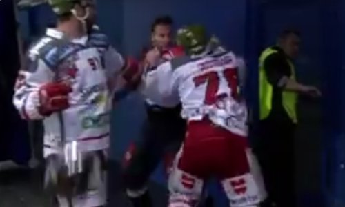 Sramotan incident šokirao Ledenu: Ovakva tučnjava je i za hokej previše!
