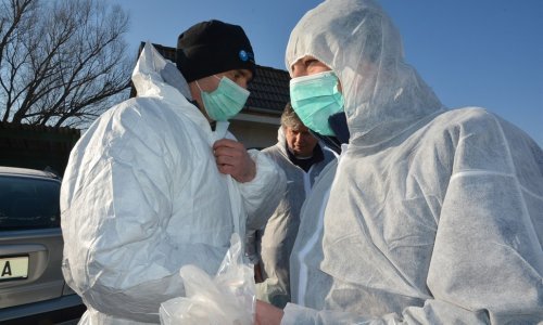 Završena eutanazija peradi u mjestu Sop Bukevski