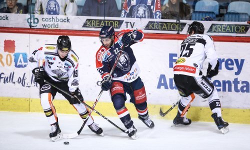 'Medvjedi' se za doigravanje zagrijavaju - porazima