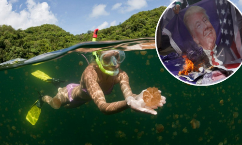 Jeste li ikad čuli za države koje su podržale Trumpa u srazu s UN-om?