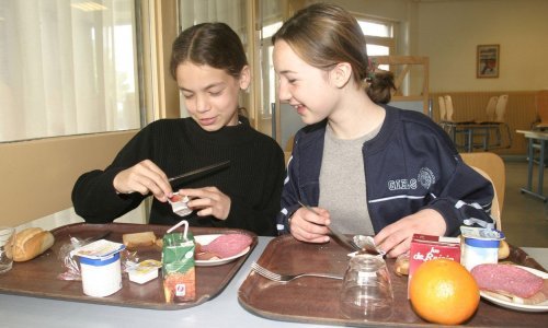 Ministarstvo zabranilo zapošljavanje kuharice u školi, djeci ukidaju ručak