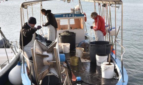 Hrvatski odvjetnik otkrio nam je taktiku kojom će braniti slovenske ribare