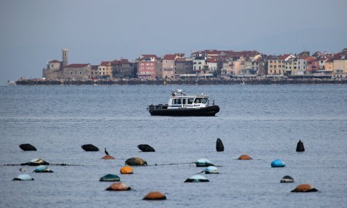 Slovenci se koškaju oko spora s Hrvatskom; Janša krivnju svalio na Pahora