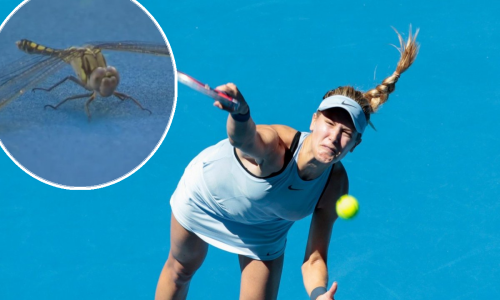 Usporena snimka napada 'nemani' na australsku tenisačicu