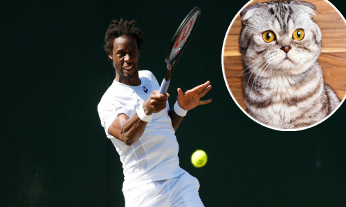 Najkomičniji trenutak teniskog turnira u Dohi; kako je ovaj 'uljez' prošao osiguranje?