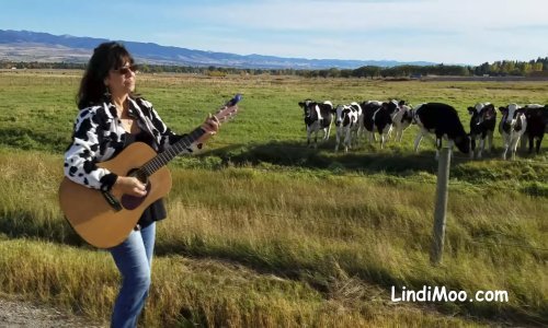 Moderna pastirica pjesmom upravlja stadom