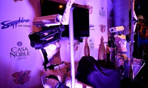 Houston zabranio otvaranje javne kuće u kojoj bi usluge pružali roboti