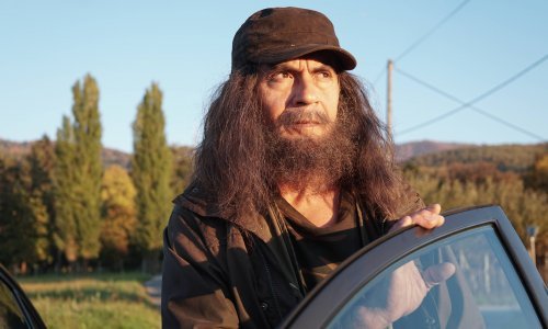 TV KRITIKA ZRINKE PAVLIĆ