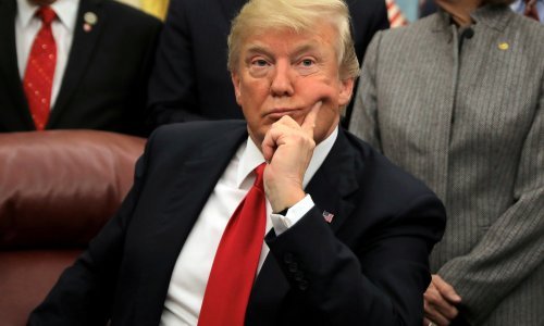 Tjedan kada je letećim lisicama provreo mozak, a Amerika skoro ostala bez dobrog dijela pameti