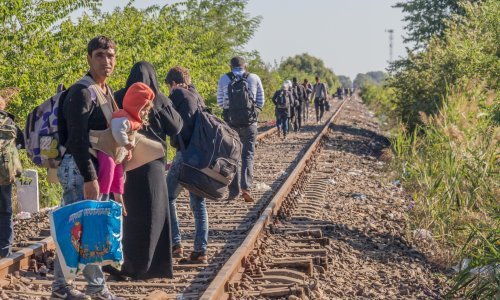 Hrvatska lani odobrila 155 zahtjeva za azilom