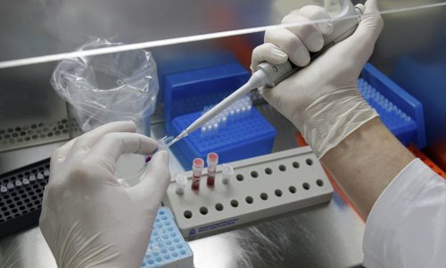 Rusi optužili Amerikance da šire svinjsku kugu