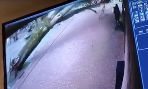 Majku i dijete u Nizozemskoj zamalo poklopilo drvo, sve snimila kamera