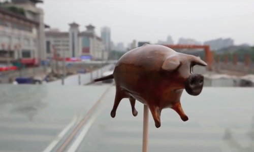 Kladimo se da nikad niste vidjeli slađu svinju