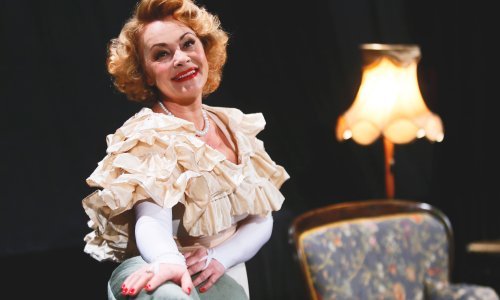 Dan za slavlje u domu Anje Šovagović Despot