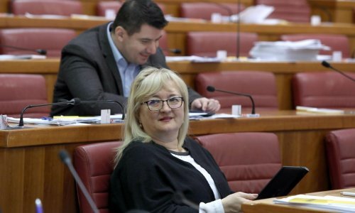 Strenja Linić: Djecu izbjeglice bez pratnje smještamo u popravne domove